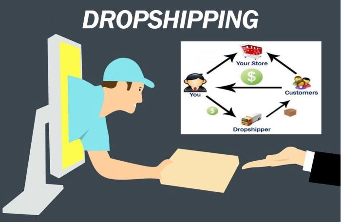 Dropshipping plugins erfolgsrezept Dropshipping plugins erfolgsrezept