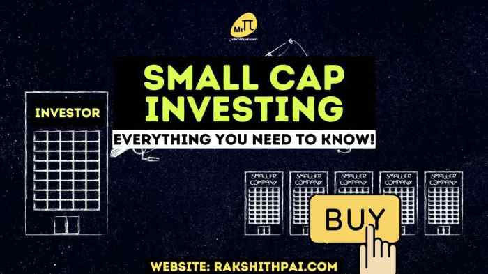 Small cap mutual fund Small cap mutual fund